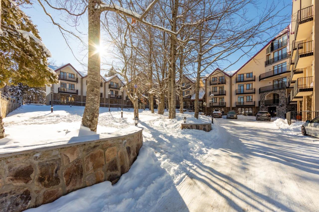 Komorebi Bakuriani Resort Kültér fotó